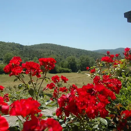 Villa Cini