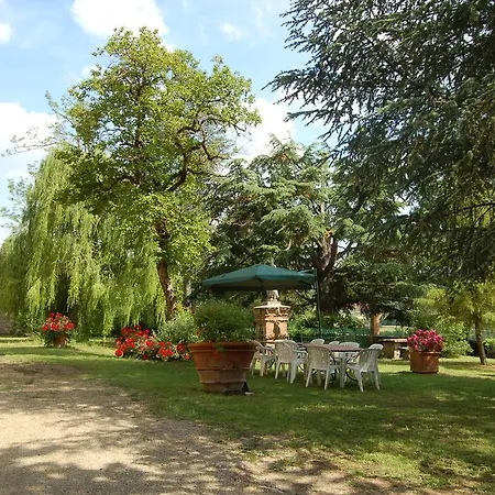Cini Bucine