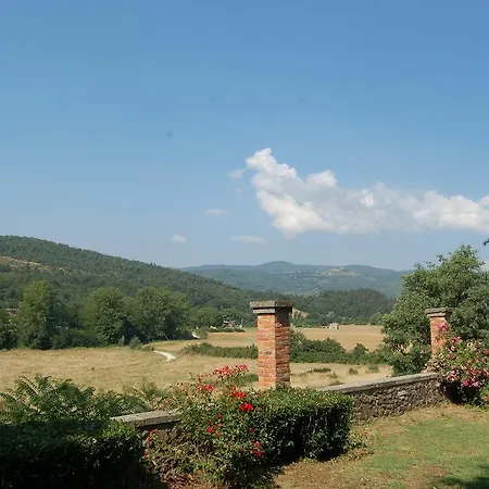 Cini Bucine